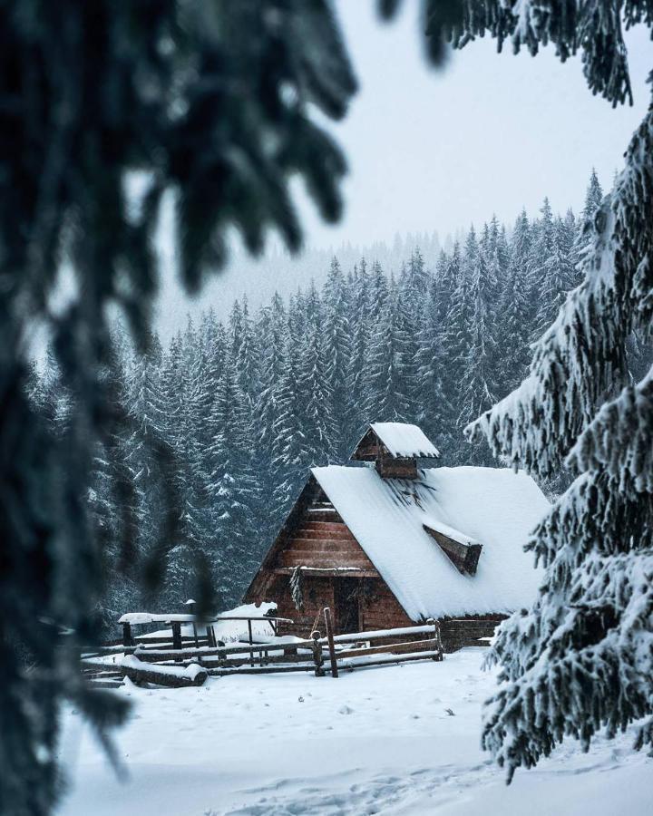 Villa Grand Skhidnytsia Exteriör bild